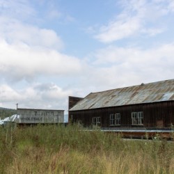 Dawson City, YT   19